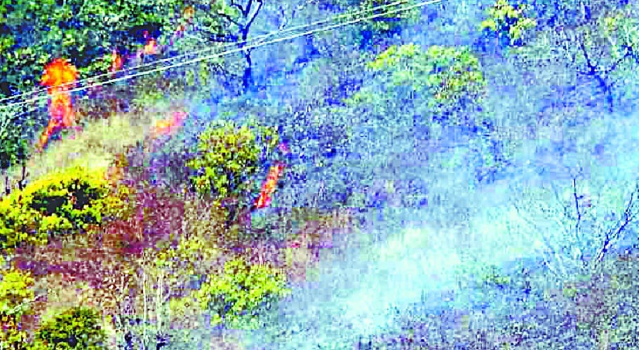 A fire broke out in the forest panchayat of Nastad
