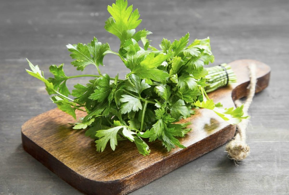 health benefits of coriander leaves and seeds
