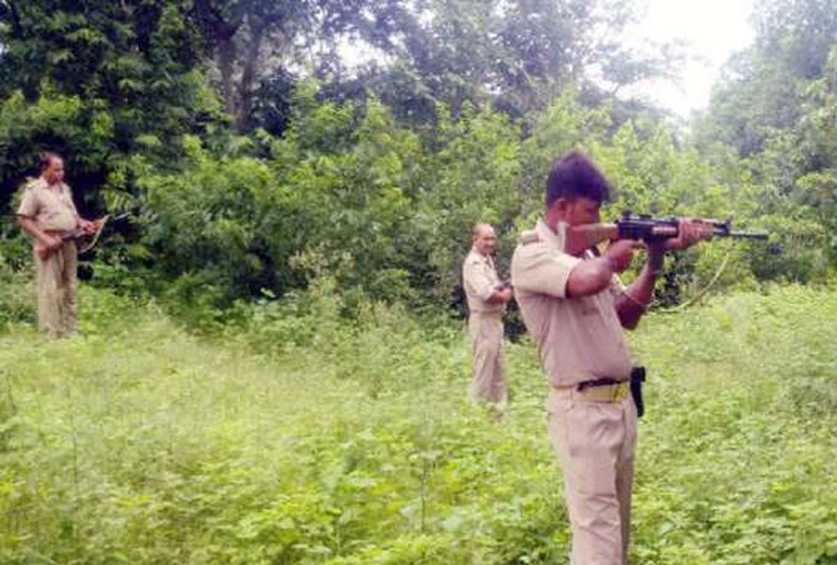 Police Encounter With Dacoit Babuli Kol Gang In Chitrakoot