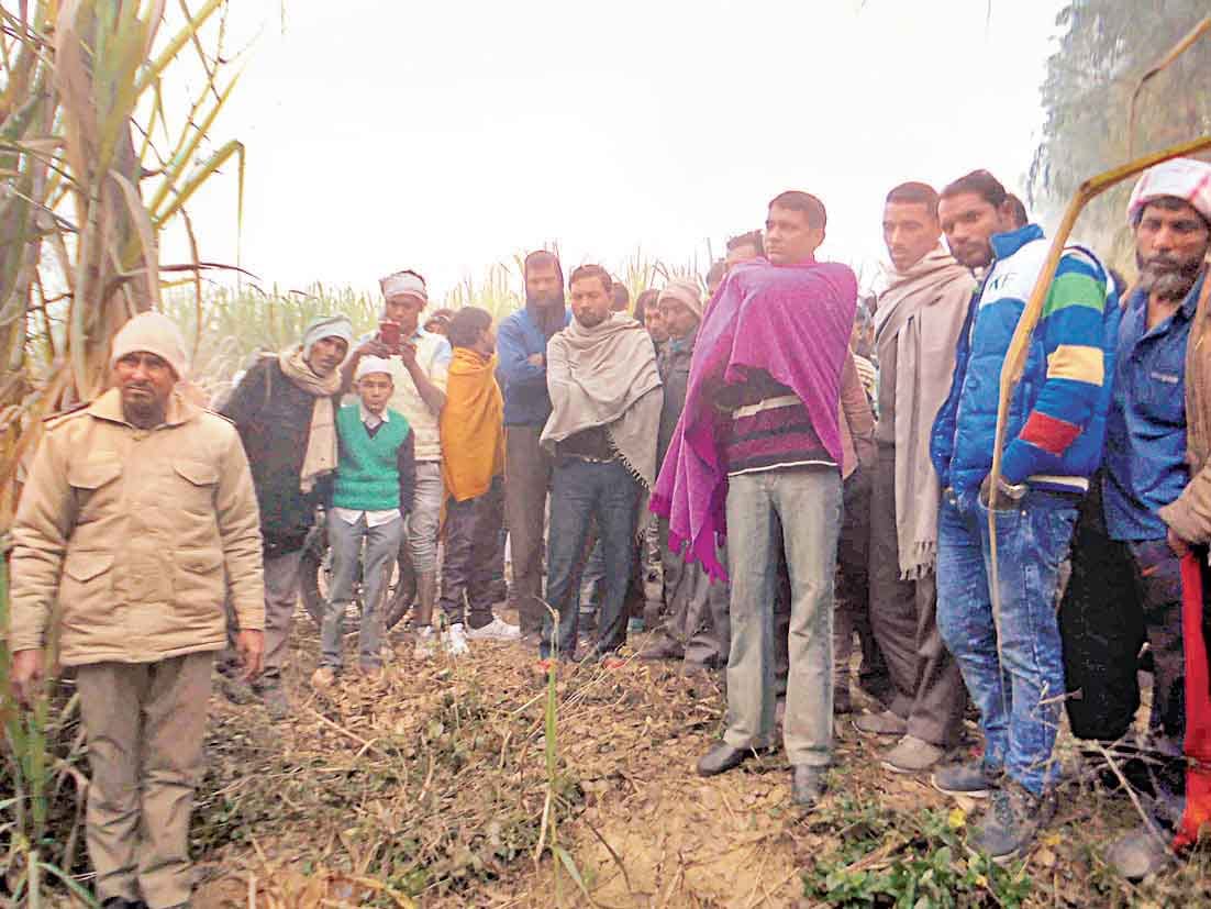 man murdered in forest