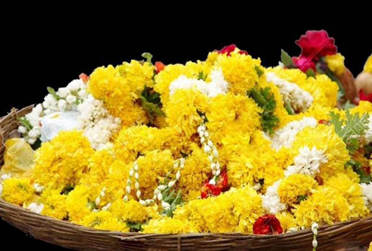 vasant panchami 2018 for happiness offer these five thing to goddess saraswati 