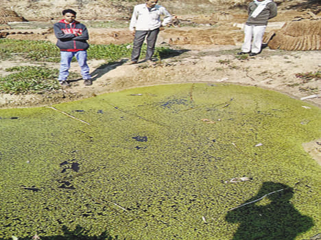 आबादी से सटे 70 फीसद तालाब व पोखरे पर कब्जा