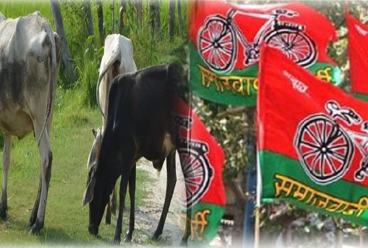New strategy of SP to surround government 