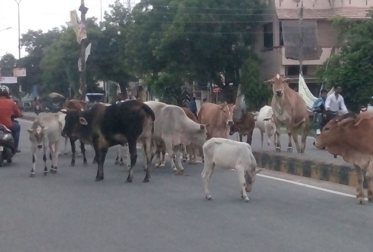 New strategy of SP to surround government 