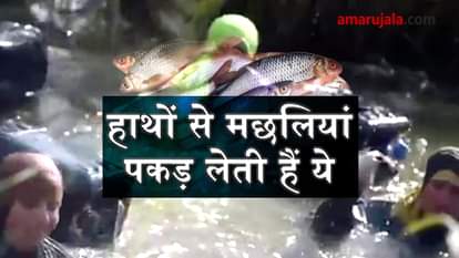 Egyptian women earn 5 dollars everyday by catching fish with their bare hands special story