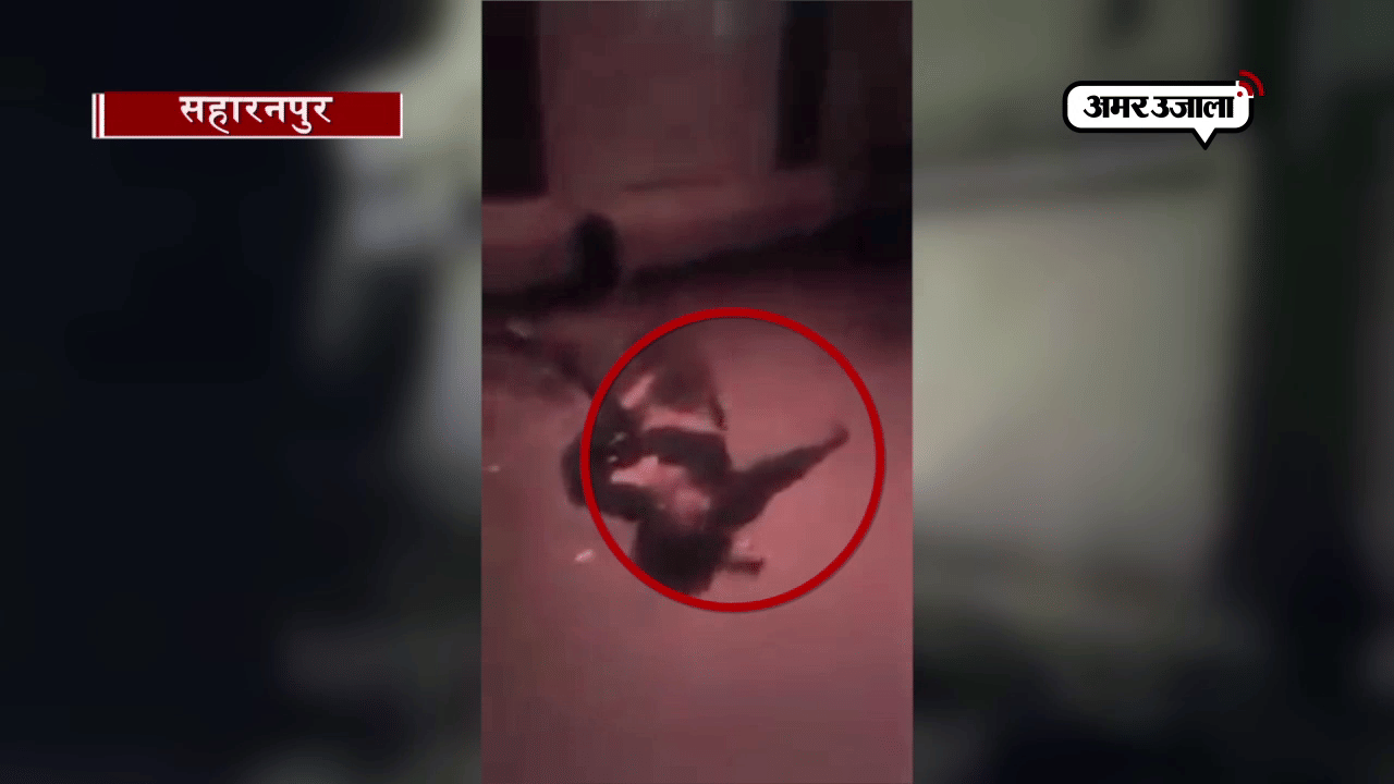 सहारनपुर पुलिस