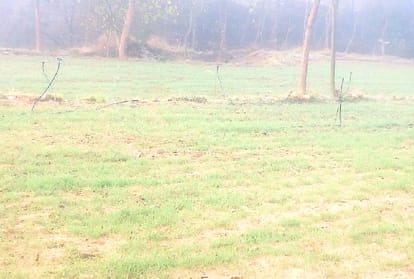 drought situation in himachal pradesh after 11 years 