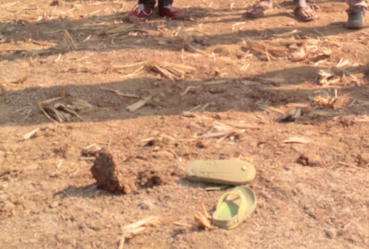  group of stray dogs at paonta sahib killed seven year old child