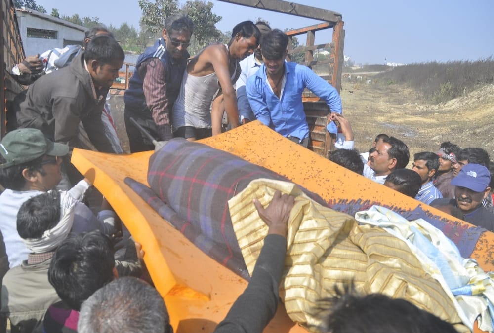 dolphin fish found in indra nahar lucknow