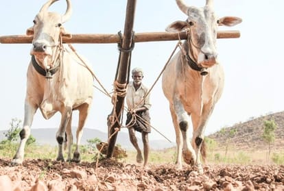 drought situation in himachal pradesh after 11 years 