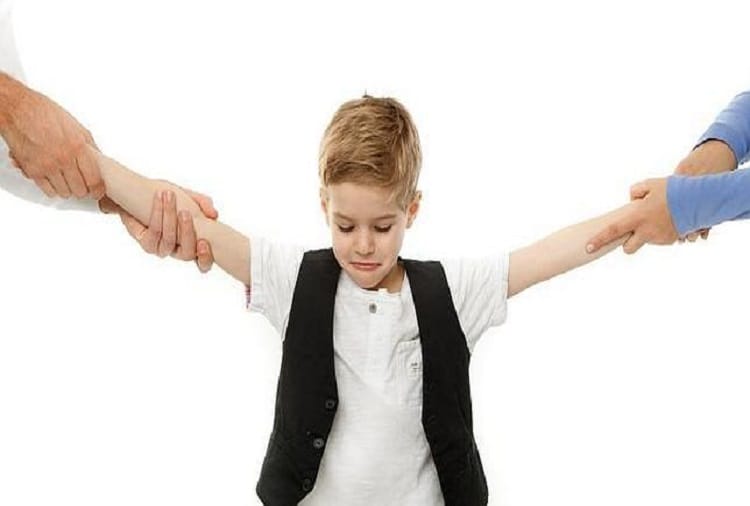 rajasthan jaipur court handed over the custody of a child to his mother 