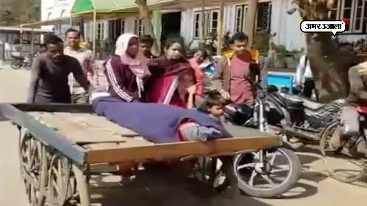 वायरल वीडियो 