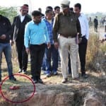 Panchkula News