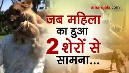 amazing reaction of lions after getting woman who hand-reared them for first time in seven years