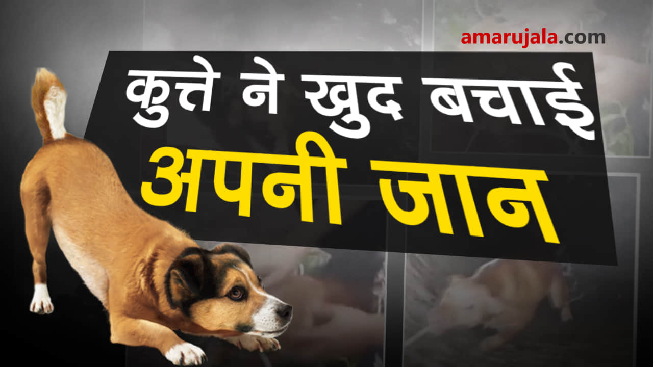 प्रतीकात्मक तस्वीर