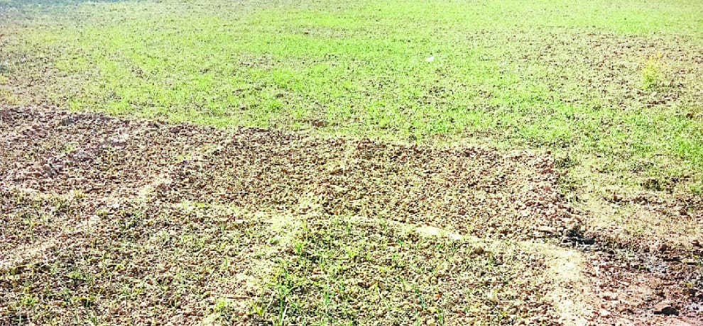 Drought situation in Prayagraj, proposal will be sent to the government