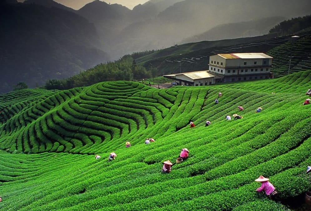 tourists will pay Taxes to see these gardens