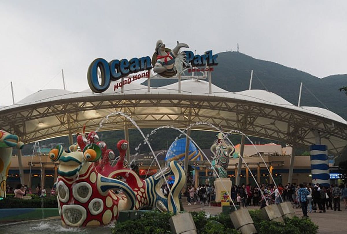 these strange laws only exist in hong kong 