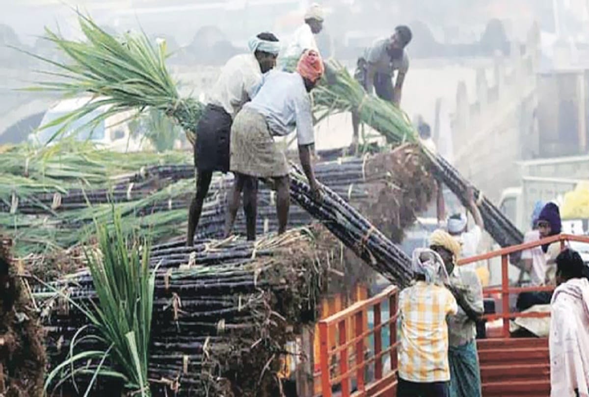 Sugar mills started working in Uttar Pradesh.