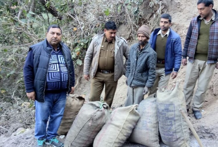 two person arrested in chamba illicit felling case