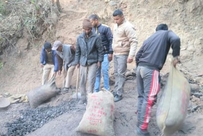 two person arrested in chamba illicit felling case