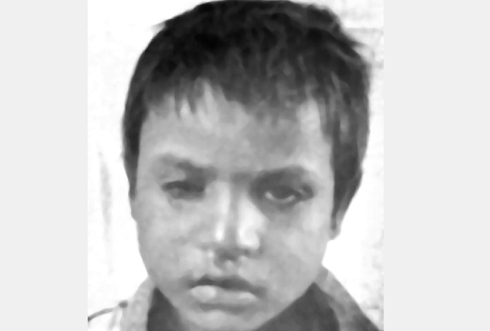dogs attack on a eleven years old child in sitapur.