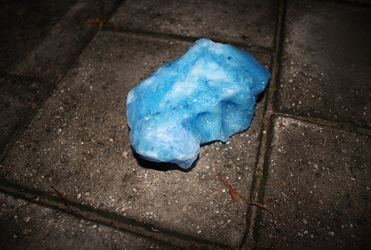 gurugram residents keep fallen poop in  their refrigerator as they thought it special material