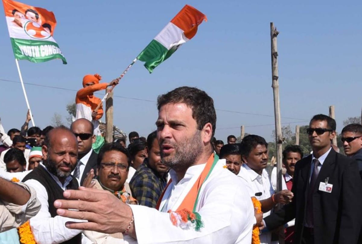Rahul Gandhi is all set to take action against candidates who failed during  Gujarat Election