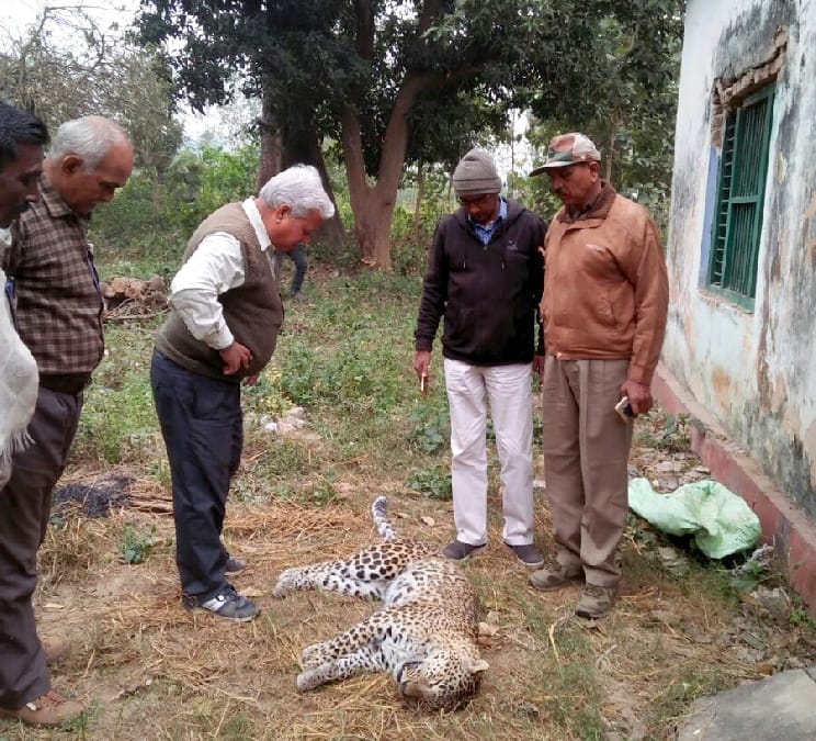 Guldar's death in the forest of Ramgarh