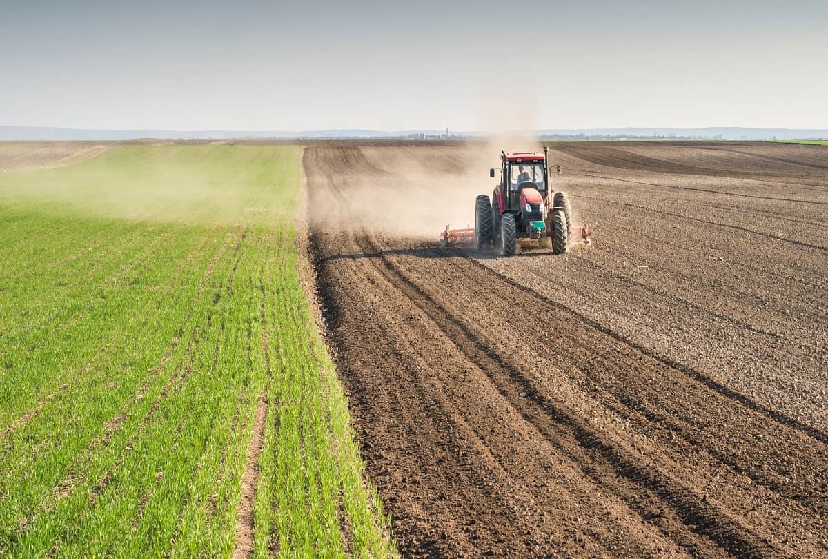 5 states in the india which produce the most grains