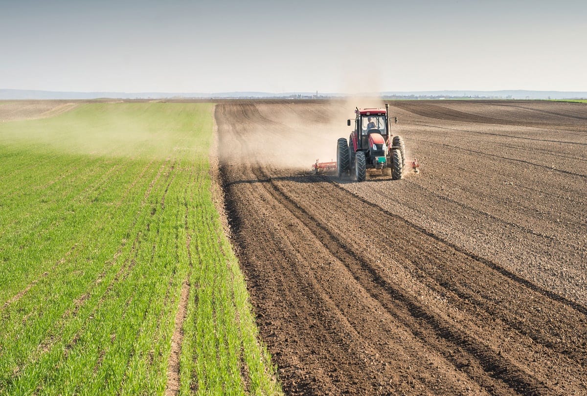 5 states in the india which produce the most grains