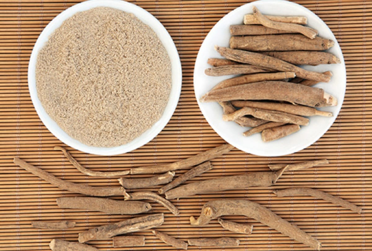 Ashwagandha Giloy drug will help fight corona, IIIM CSIR prepares tablet-powder