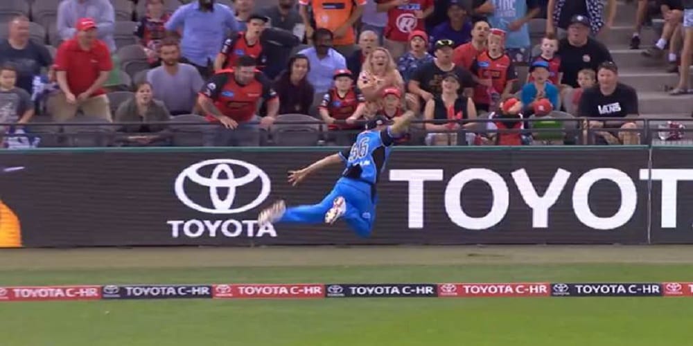 jake weatherald take best catch of bbl 2018