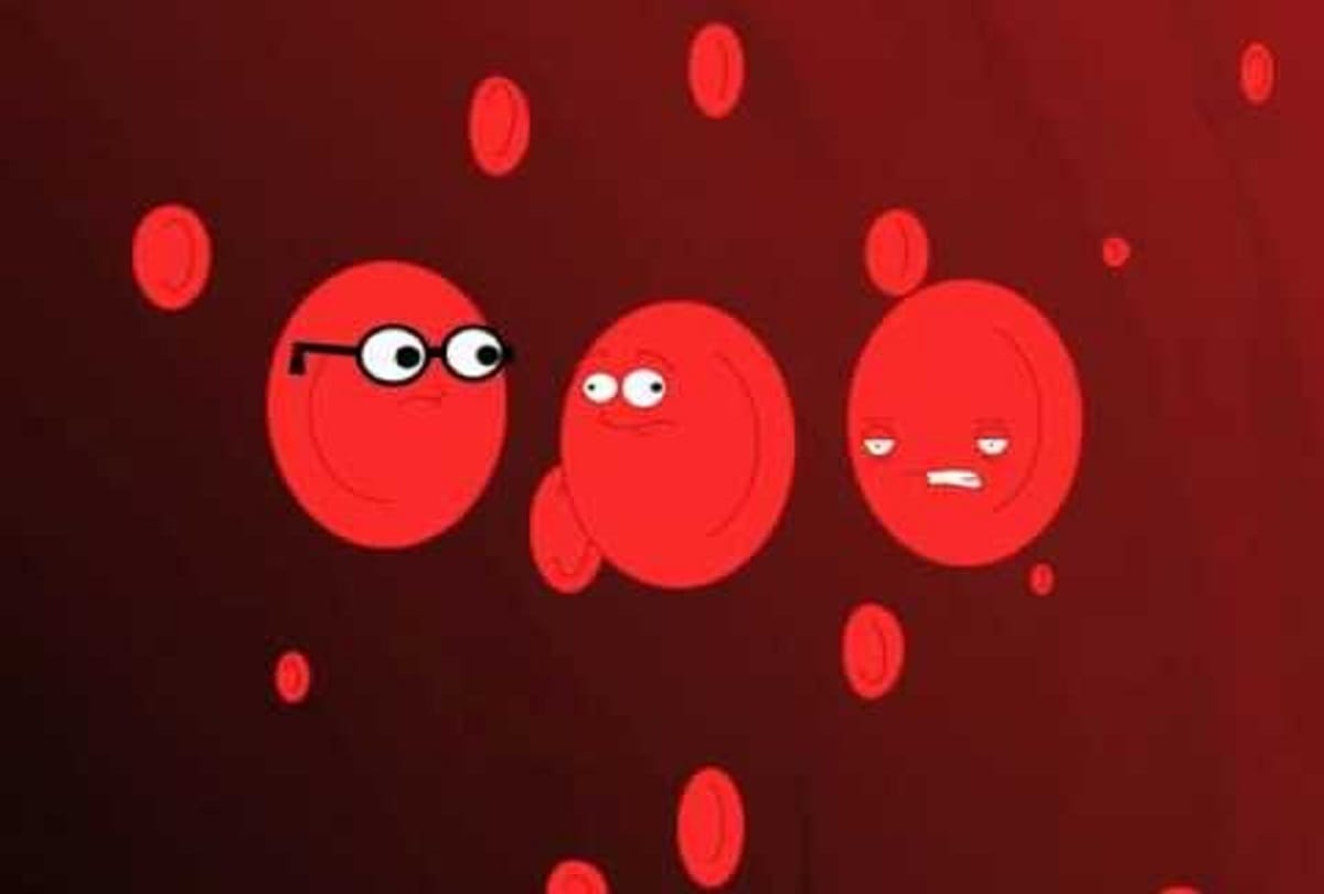 Things You Should Know About Blood Cells And Bone Marraow