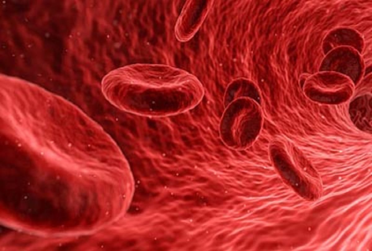 Things You Should Know About Blood Cells And Bone Marraow