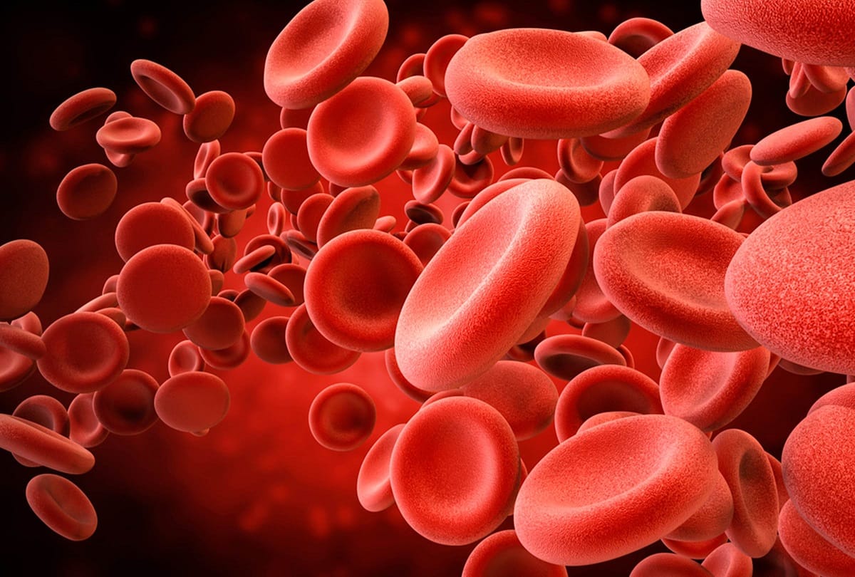 Dengue is not only reason behind less platelet count in blood