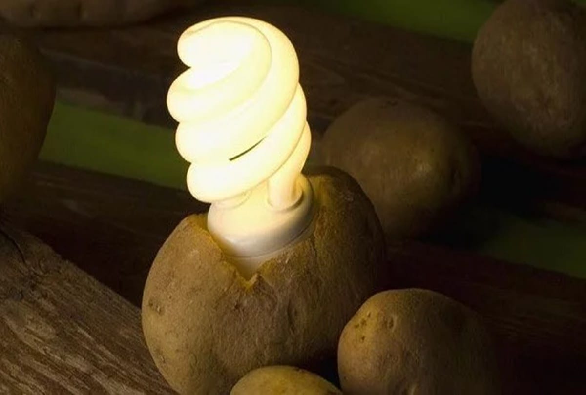 video being viral of a man who ran the fan through potato and onion