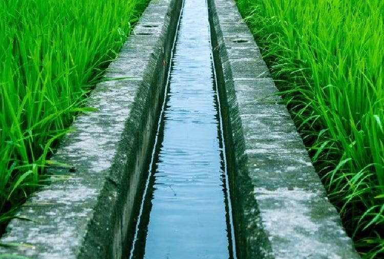 Agriculture, Drip Irrigation new technique for farming