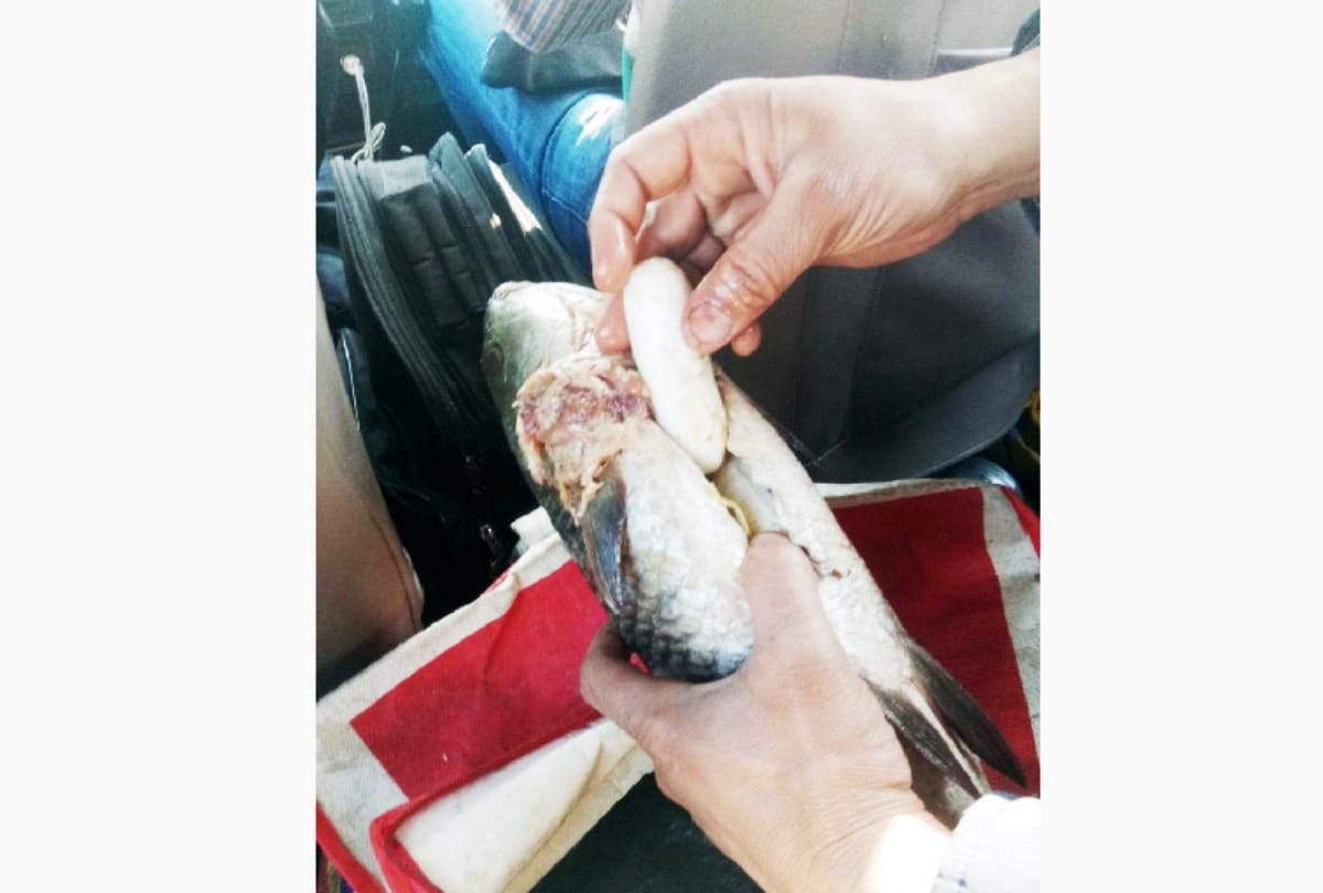 Ugandan woman’s arrest blows lid off drug racket