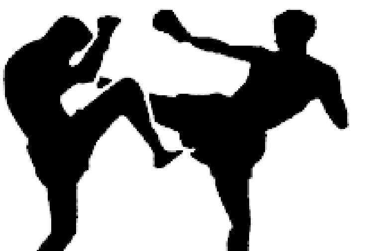 seven boxers of Himachal will take training in Karnataka
