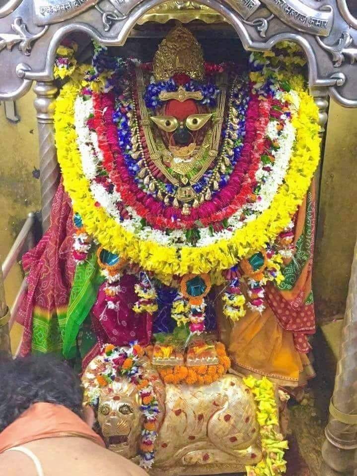 वसंत पंचमी के अवसर पर विंध्यधाम में उमड़े भक्त