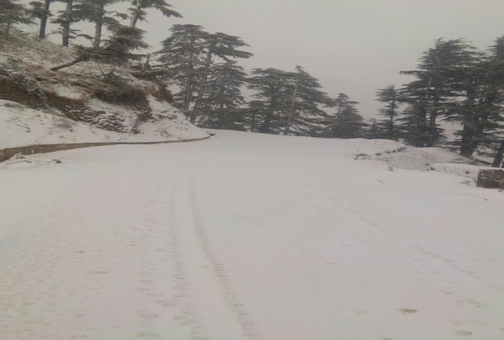 Heavy snowfall alert in mussoorie and nainital