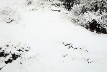 prediction of snowfall in himachal for two days