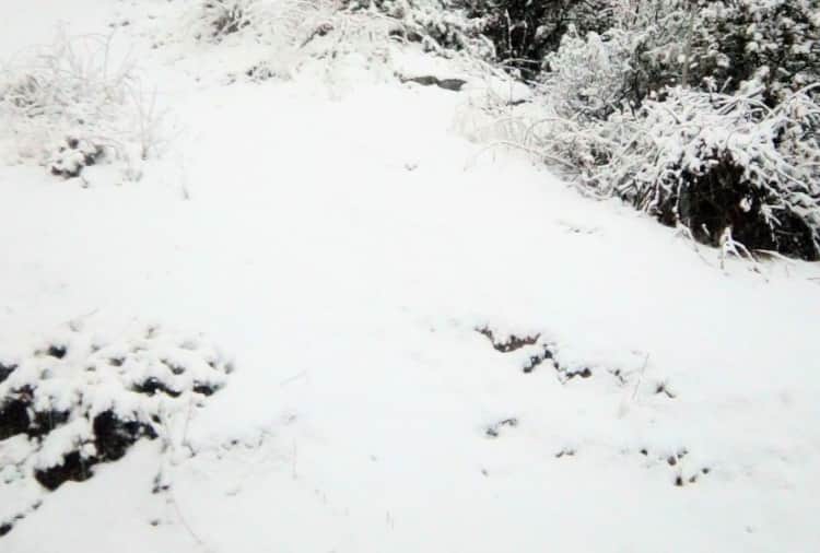 uttarakhand weather next two days rain and snowfall will increase cold