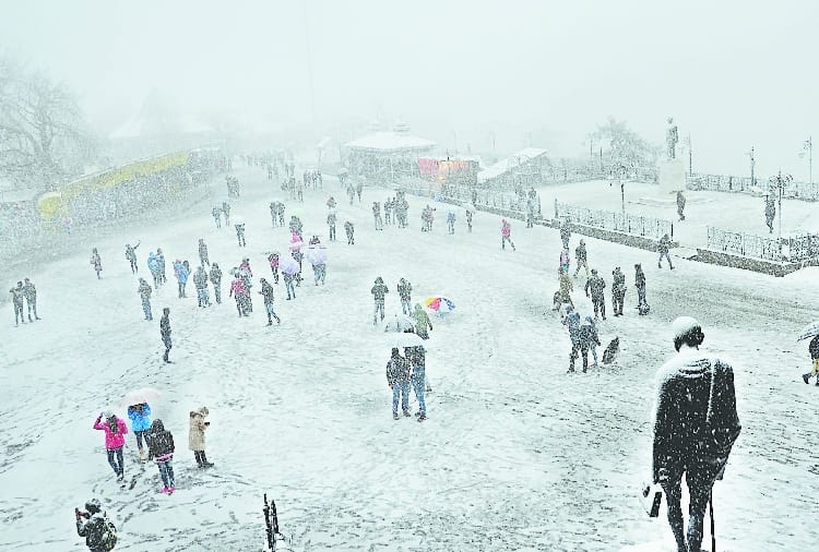warning of cold wave and fog in himachal 