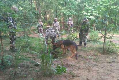 two ied planted in the jungles of Chhuria, Rajnandgaon in Chhattisgarh, destroyed by ITBP and Police