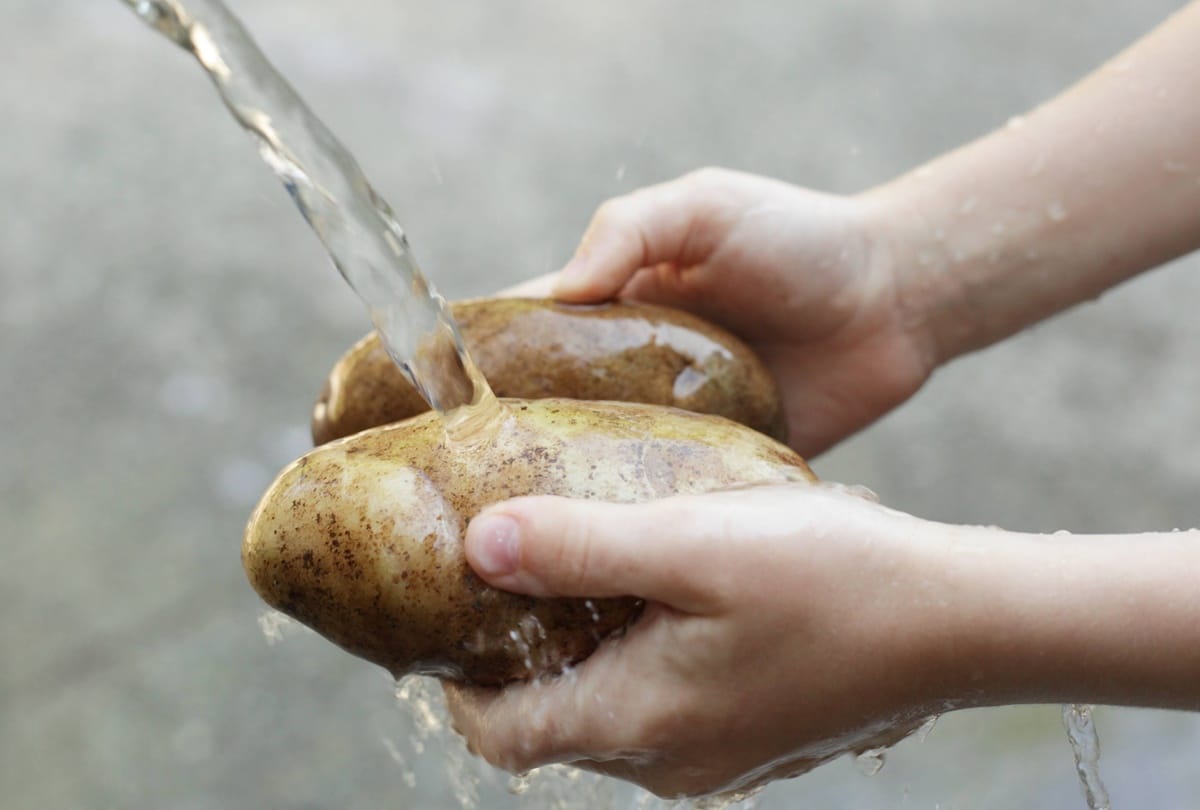 video being viral of a man who ran the fan through potato and onion