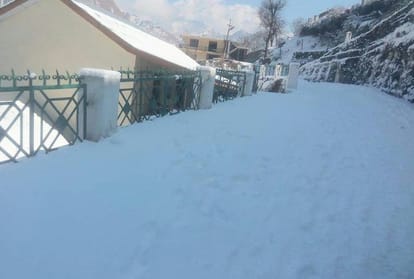 three people died due to cold in himachal