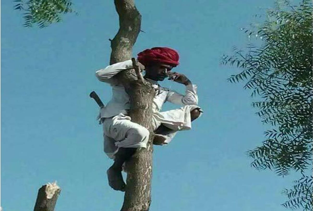 These funniest photos viral social media 