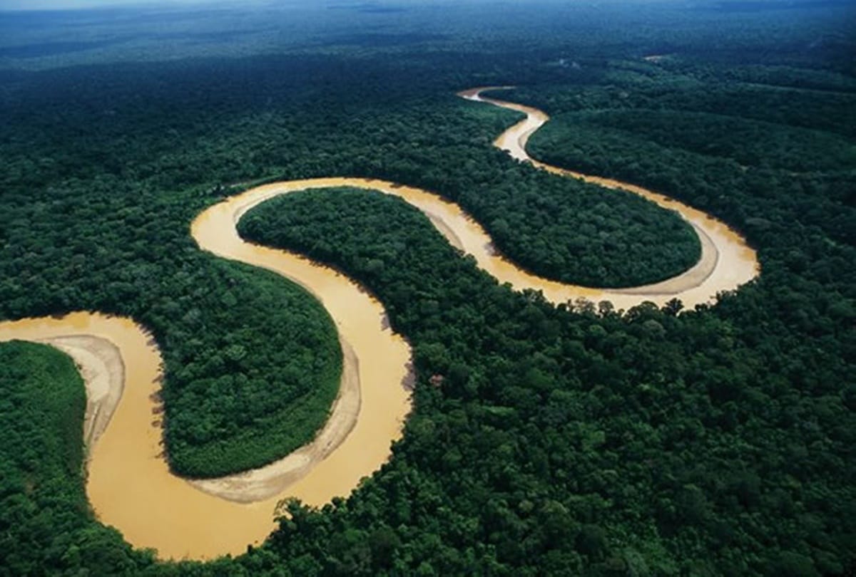 Such a unique creature found in the Amazon